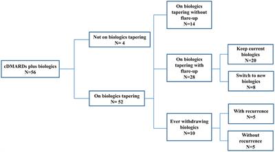 Tapering of Biological Agents in Juvenile ERA Patients in Daily Clinical Practice